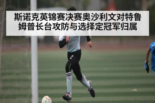 斯诺克英锦赛决赛奥沙利文对特鲁姆普长台攻防与选择定冠军归属